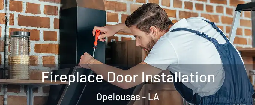  Fireplace Door Installation Opelousas - LA